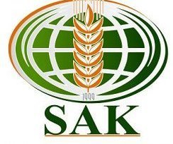 Описание изображения